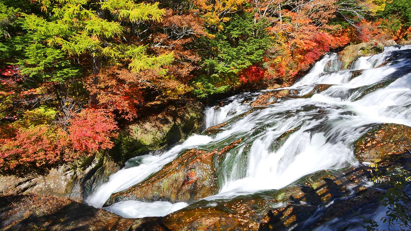 華厳の滝 奥日光 紅葉 Healingblue の動画視聴 あらすじ U Next 華厳の滝 奥日光 紅葉 Healingblue の動画視聴 あらすじ U Next