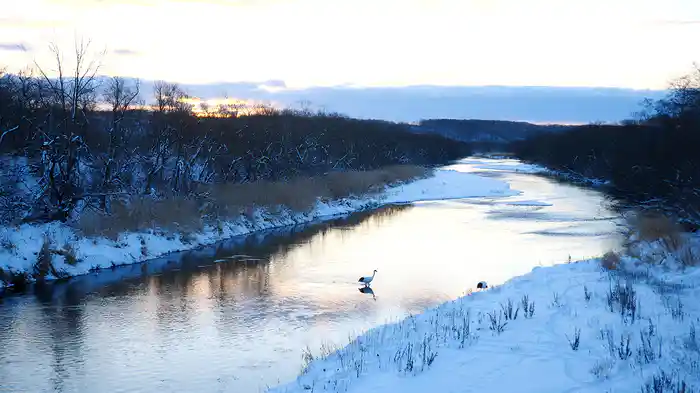 道東-冬景色 釧路湿原・摩周湖・屈斜路湖【HealingBlueAir】