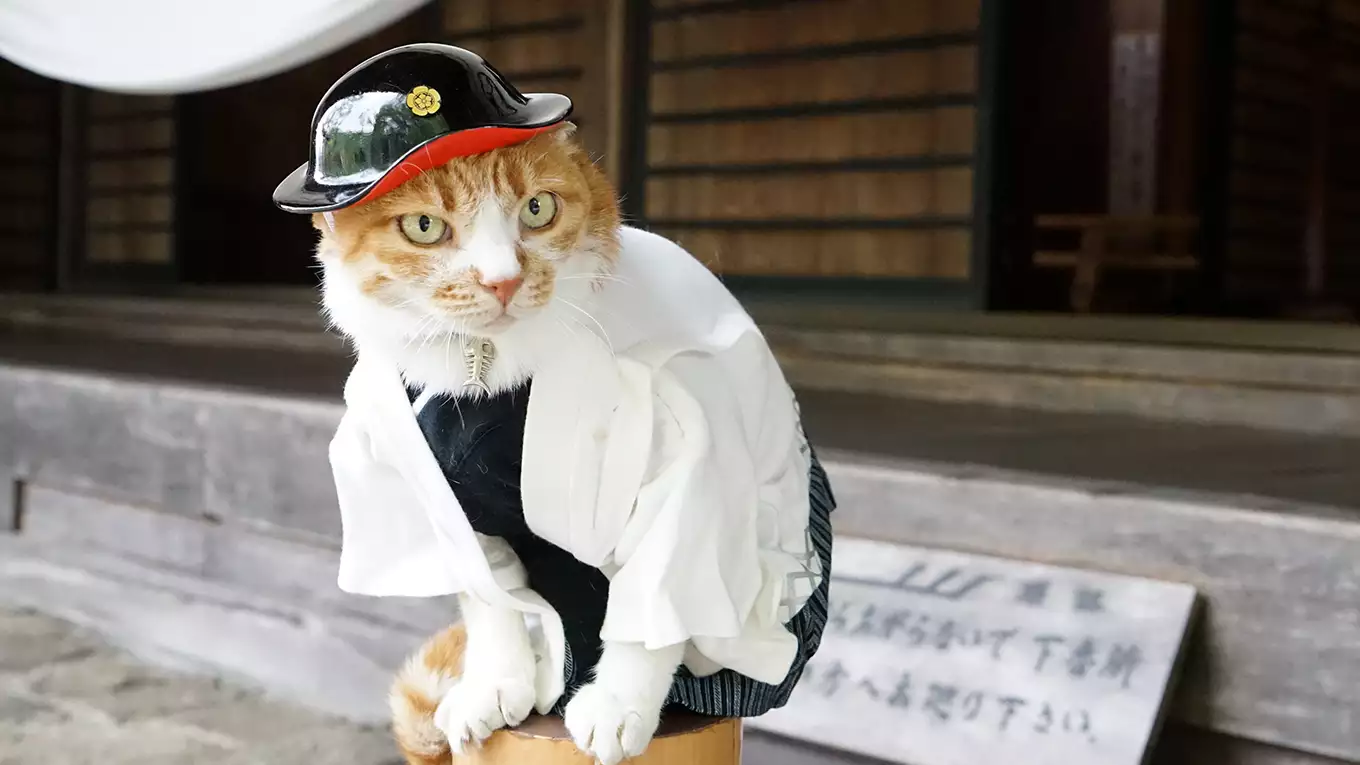 奈良井宿と木曽福島宿 【旅猫ロマン】