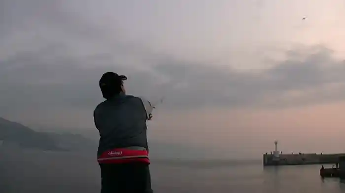 アオリイカエギング名人堤防からの挑戦