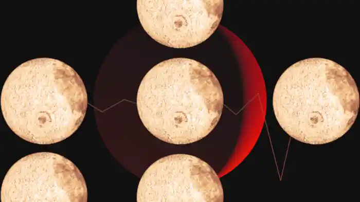 Satellite Lovers