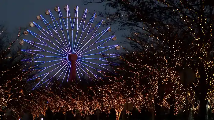 ウィンターイルミネーション 光の風物詩