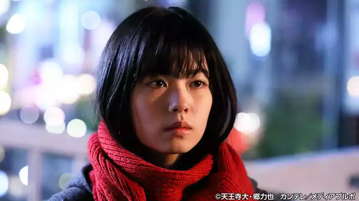 新・ミナミの帝王～ニンベンの女～