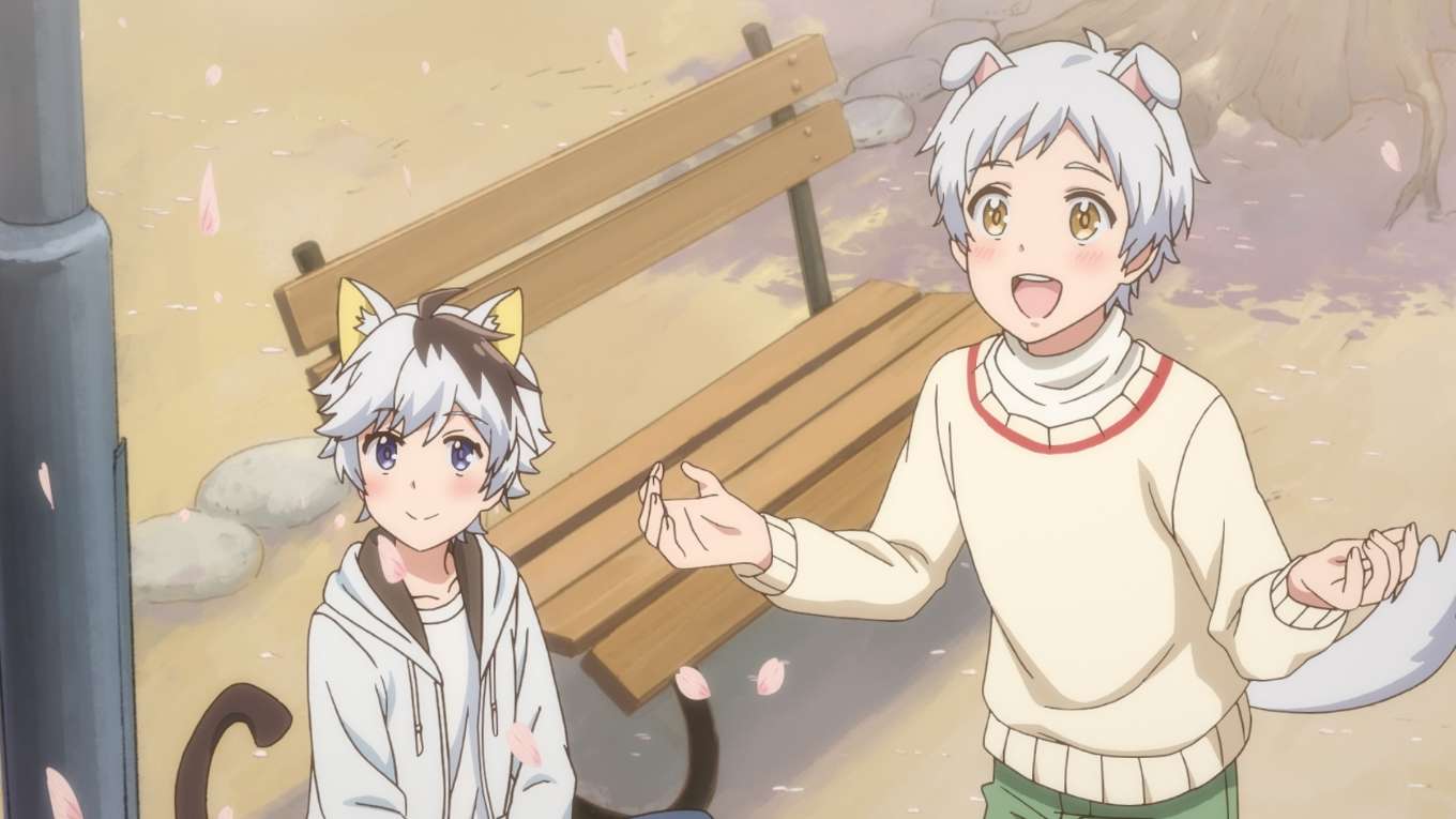 うちタマ うちのタマ知りませんか の動画視聴 あらすじ U Next うちタマ うちのタマ知りませんか の動画視聴 あらすじ U Next