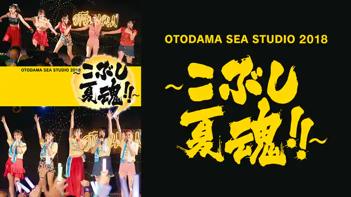 OTODAMA SEA STUDIO 2018 ～こぶし夏魂！！～