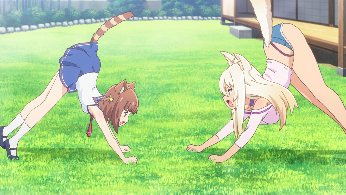 ネコぱら