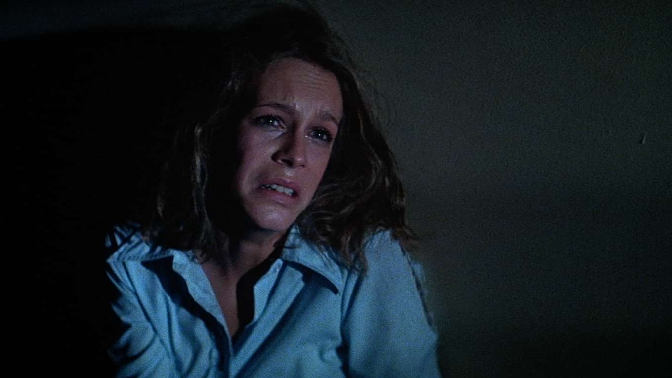 ハロウィンiiの動画視聴 あらすじ U Next