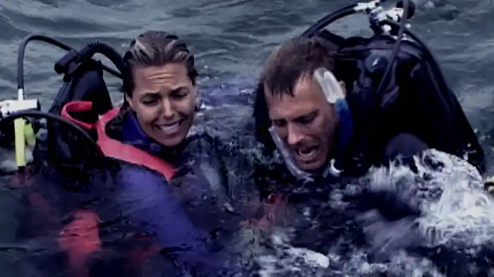 オープン・ウォーター