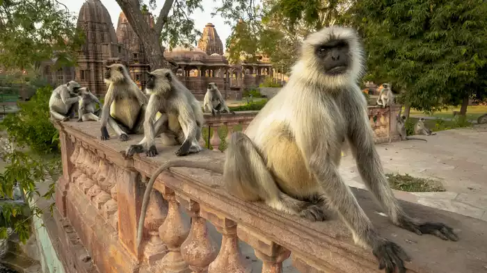 知られざるインド