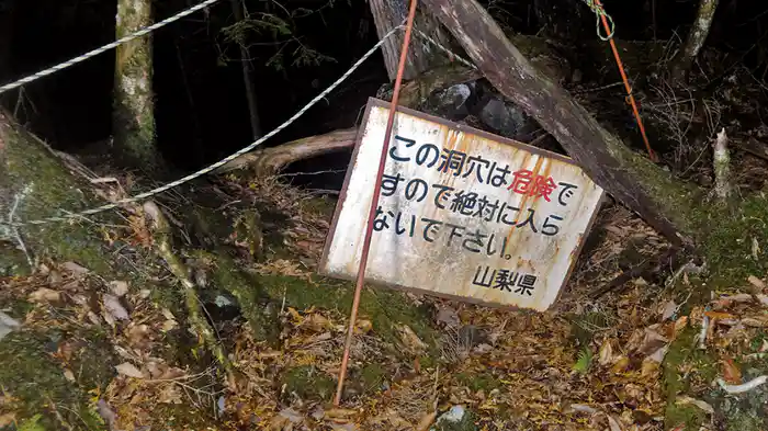青木ヶ原樹海・完全ドキュメント2017 ～あなたの知らない呪界～