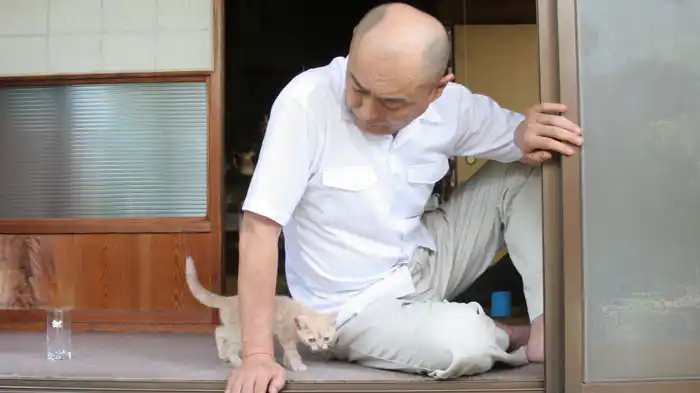 連続テレビドラマ　ねこばん