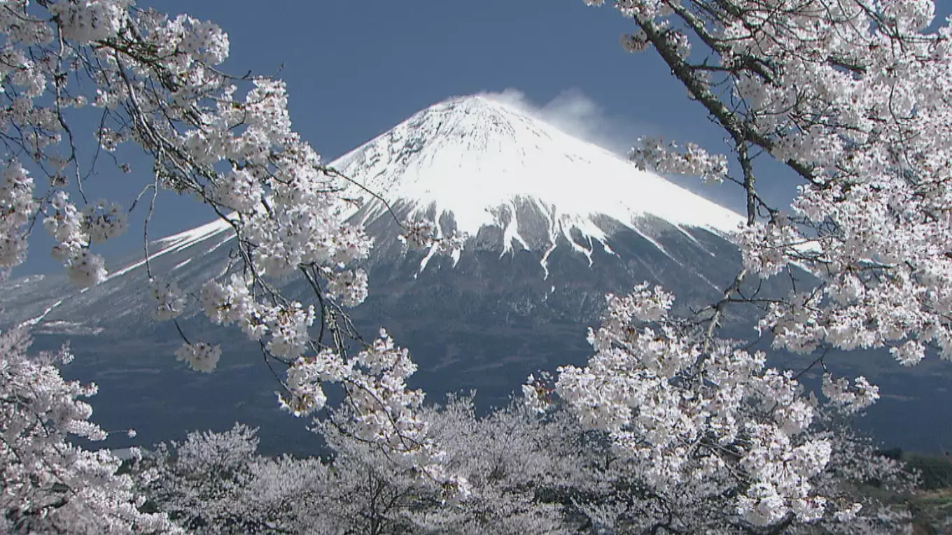 富士山百景 自宅で愉しむ「ベスト・オブ・富士山」