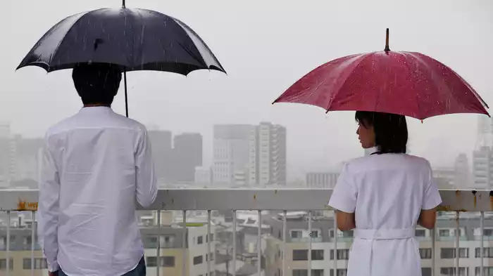 君にあえたら　妻の恋人