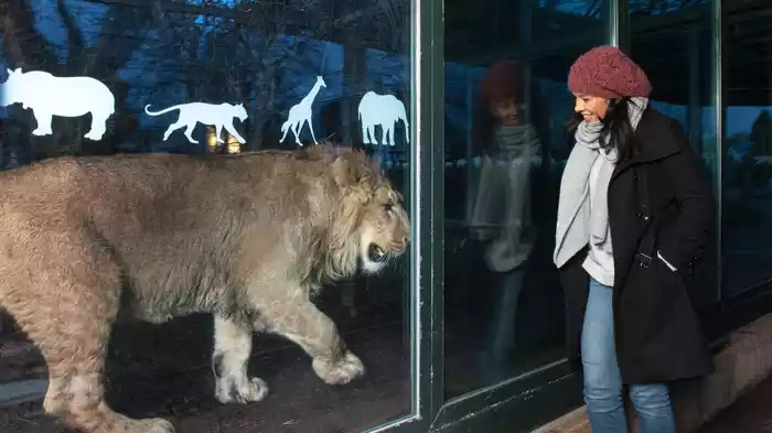 密着！夜の動物園 「眠り」の謎に迫る