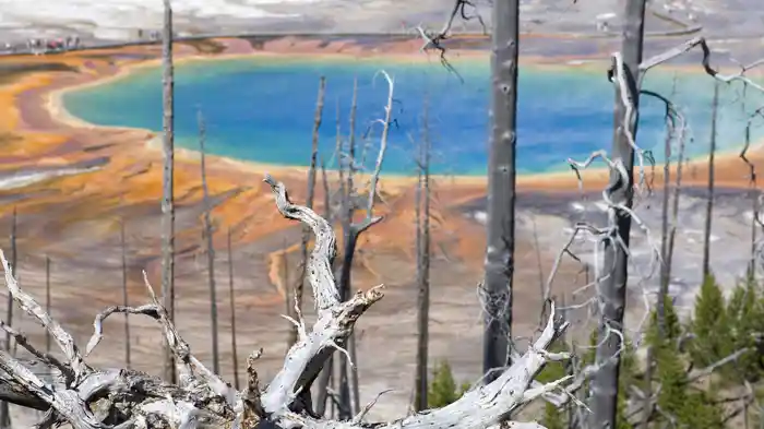 イエローストーン 最古の自然遺産