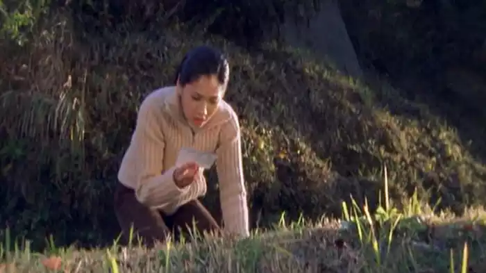 案山子