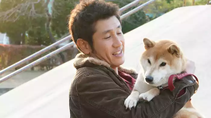 柴公園