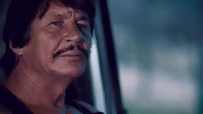 野獣処刑人 ザ・ブロンソン