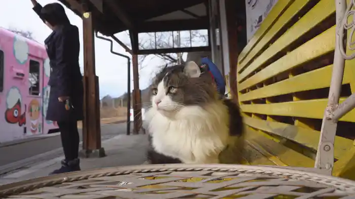 にゃん旅鉄道