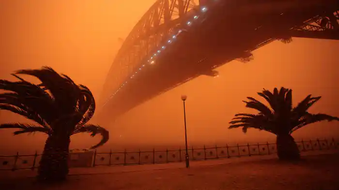 自然のいたずら シリーズ1