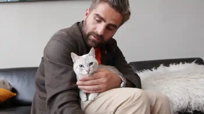 パリねこ アーティスト・モード編