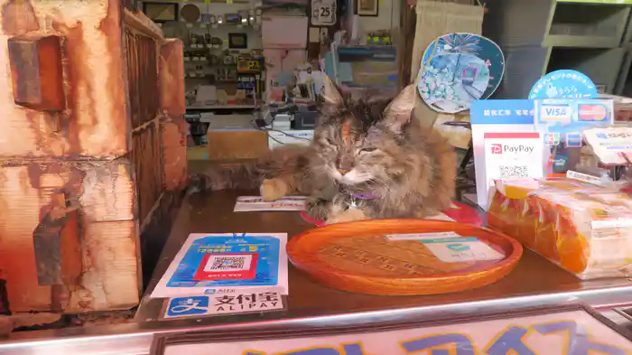 旅猫ロマン やすらぎの箱根