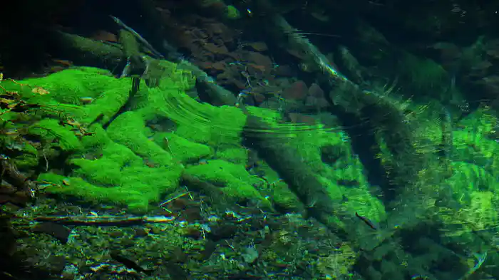 青く輝く神秘の光景【RELAX WORLD】