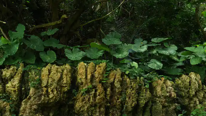 心落ち着く自然の恵み【RELAX WORLD】