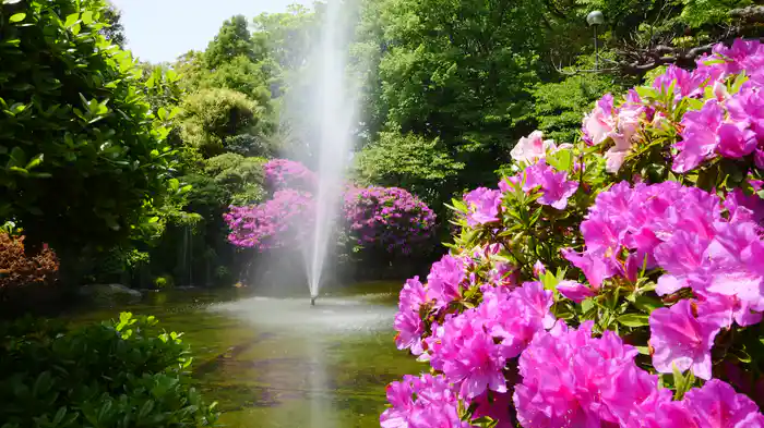 清涼 水・風・緑 柿田川公園【HealingBlue】