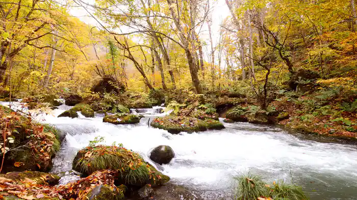 奥入瀬渓流 紅葉【HealingBlue】