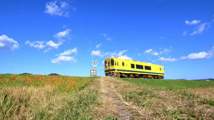 小湊鐵道・いすみ鉄道【HealingBlueAir】