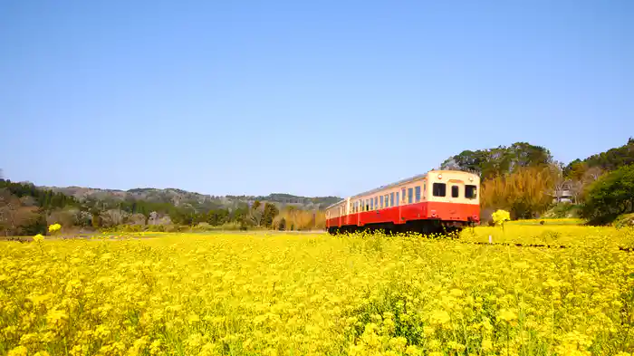 小湊鐵道・いすみ鉄道 彩りの春【HealingBlueAir】