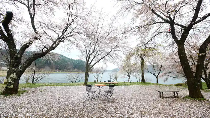 桜【HealingBlueAir】