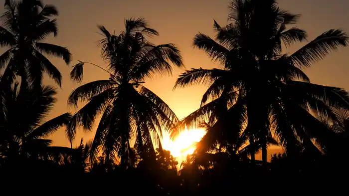 神宿る響きガムラン【RELAX WORLD】