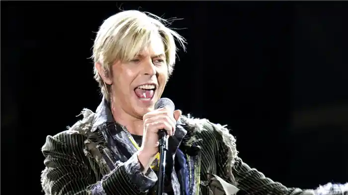 デヴィッド・ボウイ:ロック・スター伝説