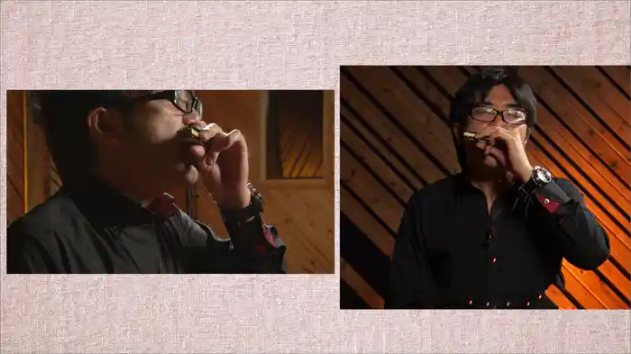 ブルース・ハープ完全攻略