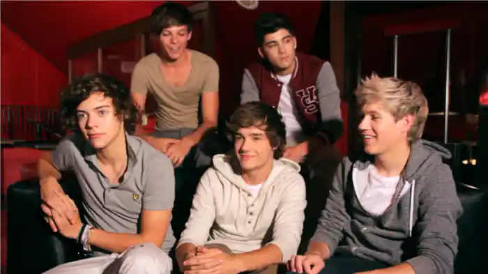 ワン・ダイレクション：ポップ・プロフィール