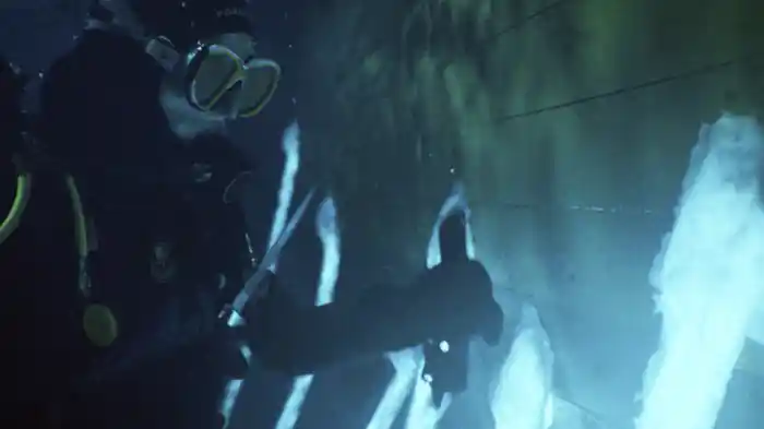 シー・フィーバー　深海の怪物