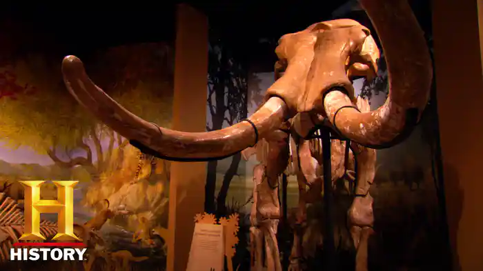 ジュラシック・ファイト・クラブ