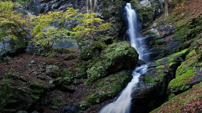 美しく眠るヒーリング【RELAX WORLD】