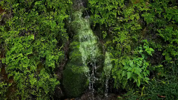 15 Minute Relaxation-沖縄・癒やしの水景色-【RELAX WORLD】