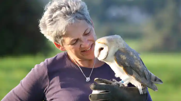 フクロウ 神秘の能力