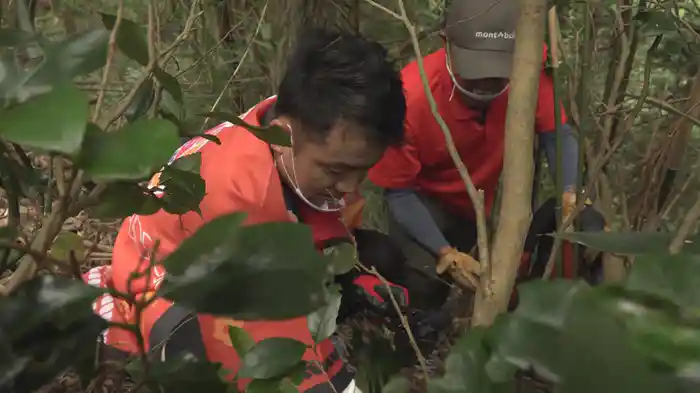 日本全国 福むすび