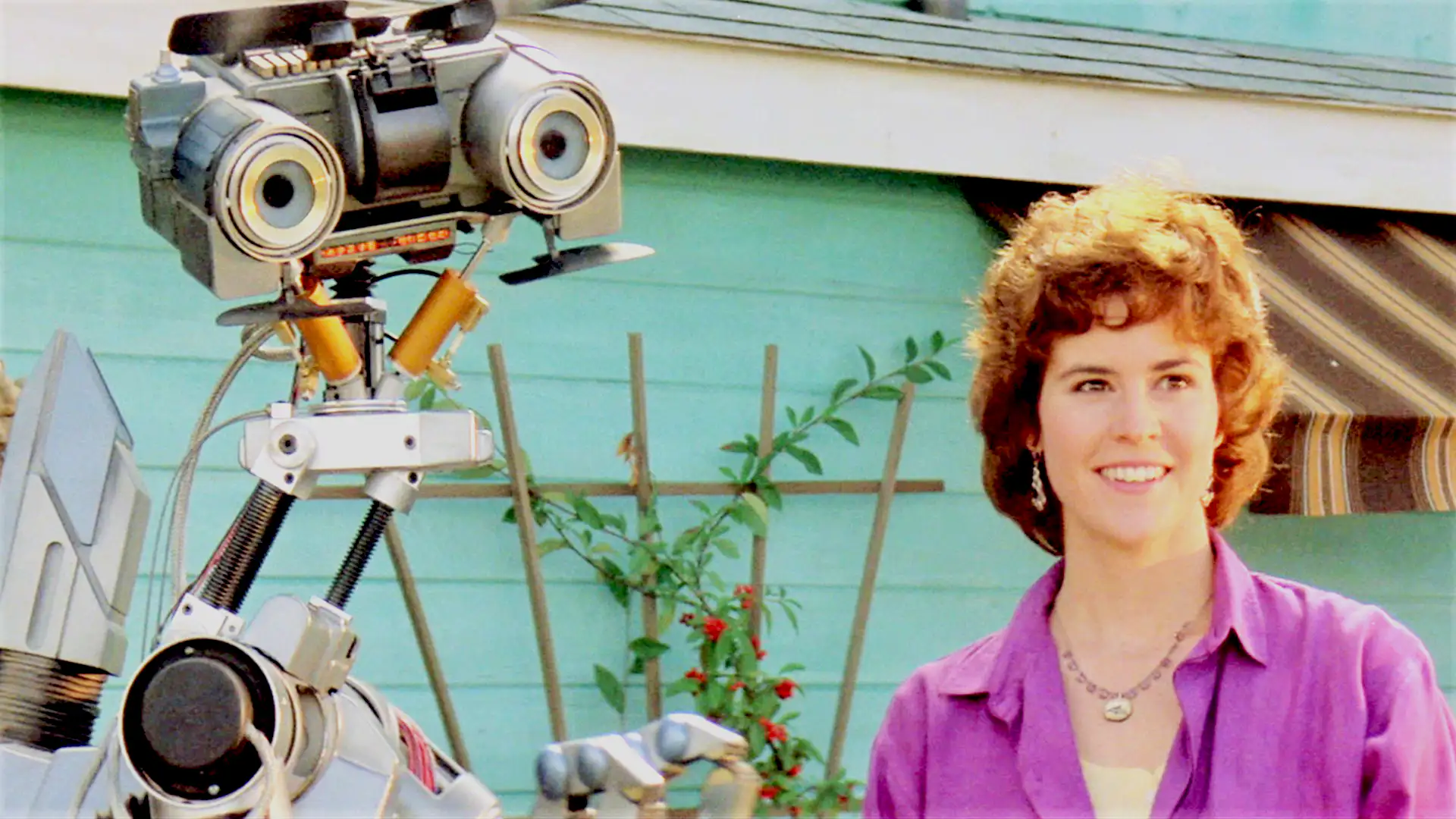 ショート サーキット スティーヴ グッテンバーグ アリー シーディ フィッシャー スティーヴンス ジョン バダム 監督 デヴィッド Www Smknjateng Sch Id