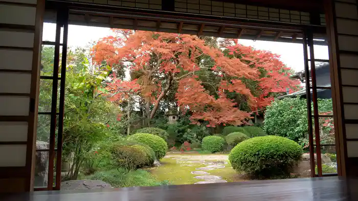 紅葉に染まる美しき庭園【RELAX WORLD】