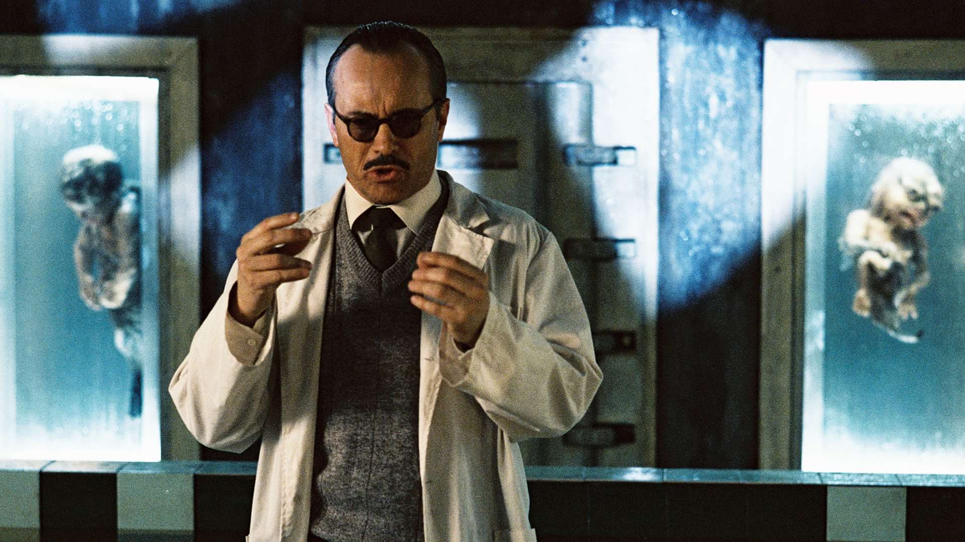 キラー シャーク 殺人鮫の動画視聴 あらすじ U Next