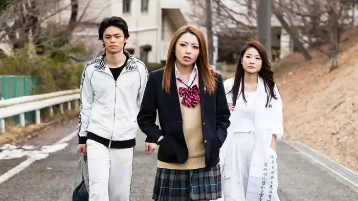 ヤンキー女子高生 全国制覇への道 埼玉編