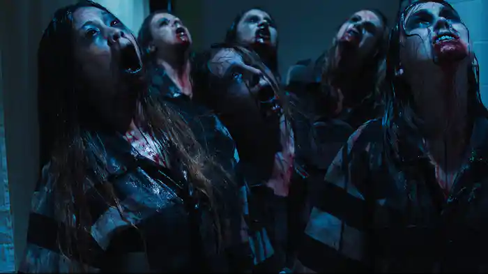 エクスペリメント・アット・セントレオナルズ女子刑務所