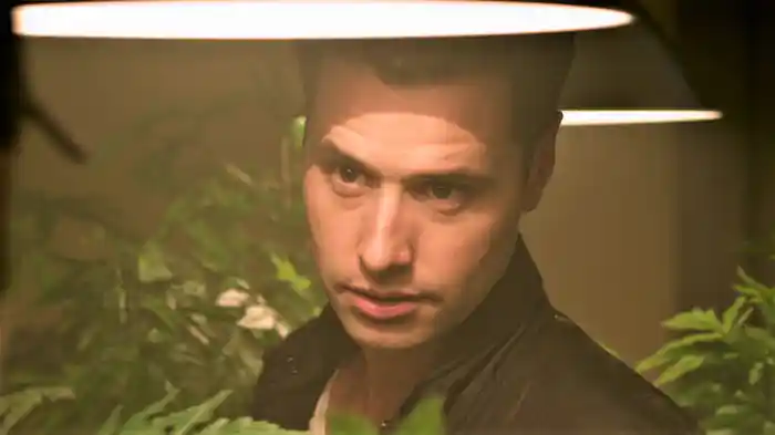 ワイルド・ウルフ 危険の代償