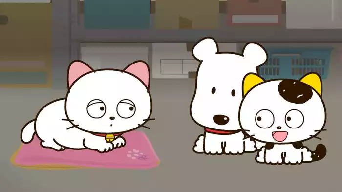 ダヤンとタマと飛び猫と ～3つの猫の物語～